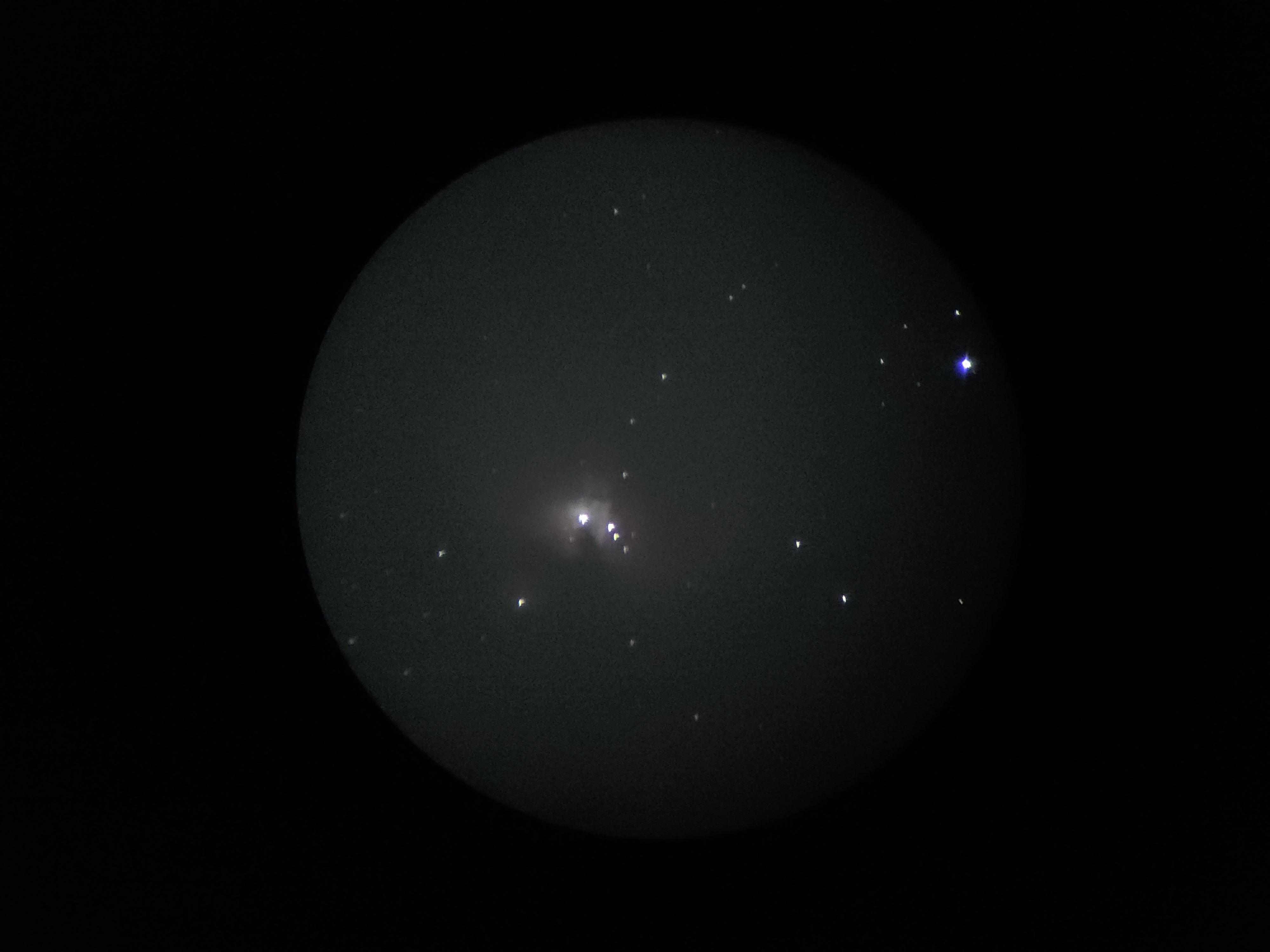Orion Nebula
